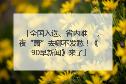 全国入选、省内唯一，夜“萧”去哪不发愁！《90早新闻》来了