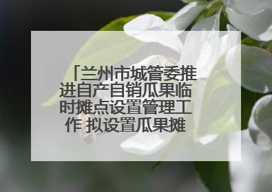 兰州市城管委推进自产自销瓜果临时摊点设置管理工作 拟设置瓜果摊点2000余个