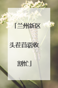 兰州新区头茬苜蓿收割忙