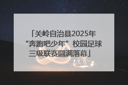 关岭自治县2025年“奔跑吧少年”校园足球三级联赛圆满落幕