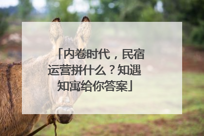 内卷时代，民宿运营拼什么？知遇知寓给你答案