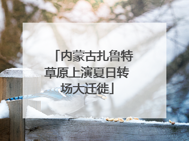 内蒙古扎鲁特草原上演夏日转场大迁徙