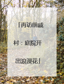 再访前戚村：庭院开出浪漫花