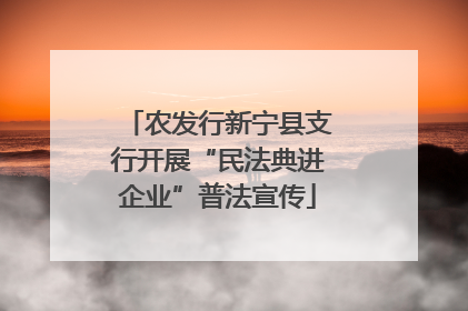 农发行新宁县支行开展“民法典进企业”普法宣传