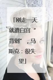 刚走一天就遭白宫“背刺”，马斯克：很失望