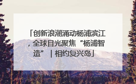 创新浪潮涌动杨浦滨江，全球目光聚焦“杨浦智造”｜相约复兴岛