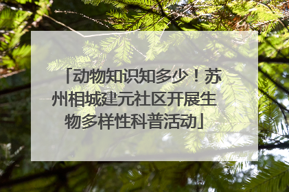动物知识知多少！苏州相城建元社区开展生物多样性科普活动