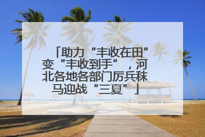 助力“丰收在田”变“丰收到手”，河北各地各部门厉兵秣马迎战“三夏”