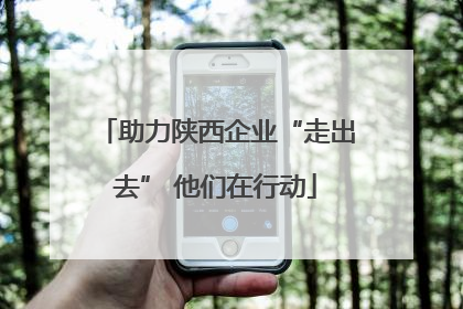 助力陕西企业“走出去” 他们在行动