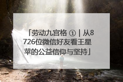 劳动九宫格 ①｜从8726位微信好友看王星苹的公益信仰与坚持