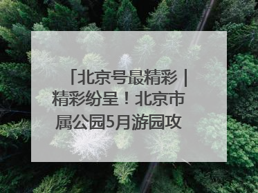 北京号最精彩｜精彩纷呈！北京市属公园5月游园攻略来啦→