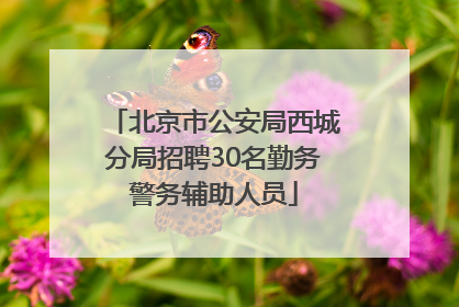 北京市公安局西城分局招聘30名勤务警务辅助人员