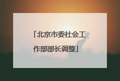 北京市委社会工作部部长调整