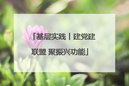 基层实践丨建党建联盟 聚振兴功能