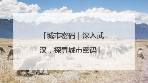 城市密码｜深入武汉，探寻城市密码