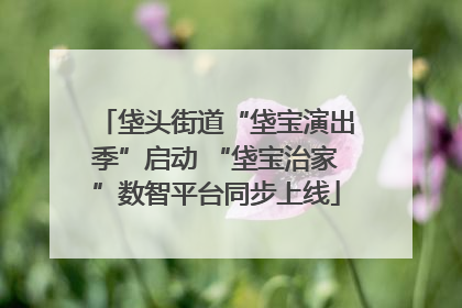 垡头街道“垡宝演出季”启动 “垡宝治家”数智平台同步上线
