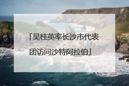 吴桂英率长沙市代表团访问沙特阿拉伯