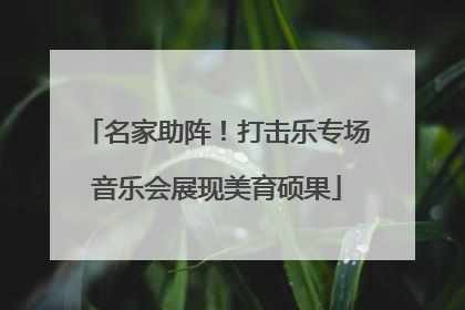名家助阵！打击乐专场音乐会展现美育硕果