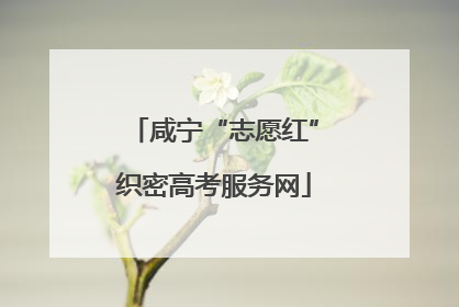 咸宁“志愿红”织密高考服务网