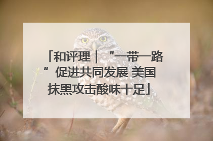 和评理｜“一带一路”促进共同发展 美国抹黑攻击酸味十足