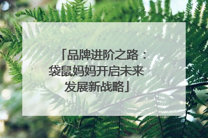 品牌进阶之路：袋鼠妈妈开启未来发展新战略