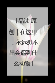 品读·原创｜在这里，永远想不出会遇到什么动物