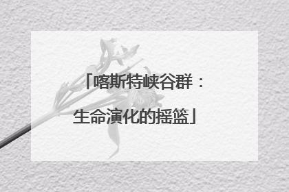 喀斯特峡谷群：生命演化的摇篮