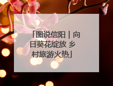 图说信阳｜向日葵花绽放 乡村旅游火热