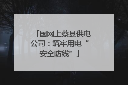 国网上蔡县供电公司：筑牢用电“安全防线”
