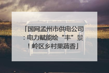 国网孟州市供电公司：电力赋能绘“丰”景！岭区乡村果蔬香