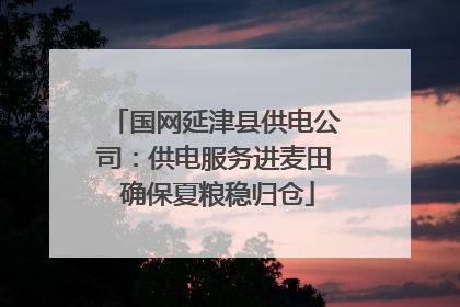 国网延津县供电公司：供电服务进麦田 确保夏粮稳归仓