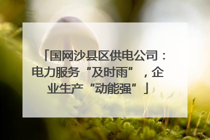 国网沙县区供电公司：电力服务“及时雨”，企业生产“动能强”