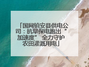 国网镇安县供电公司：抗旱保电跑出“加速度” 全力守护农田灌溉用电