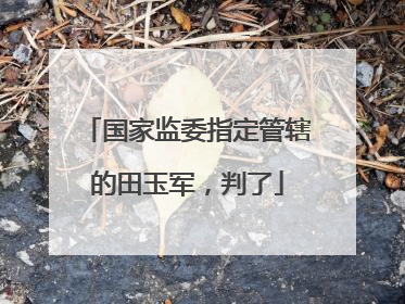 国家监委指定管辖的田玉军，判了