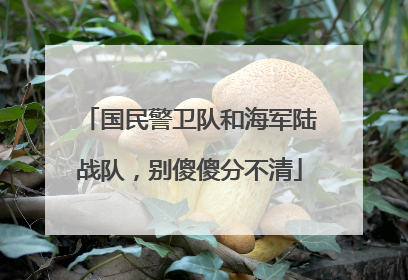 国民警卫队和海军陆战队，别傻傻分不清