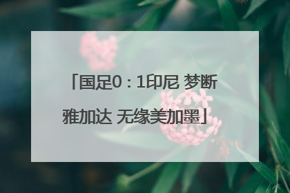 国足0∶1印尼 梦断雅加达 无缘美加墨