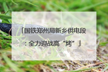 国铁郑州局新乡供电段：全力迎战高“烤”