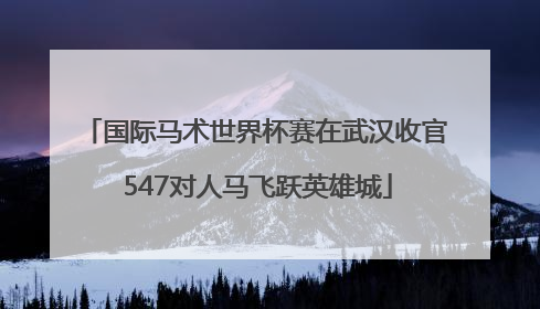 国际马术世界杯赛在武汉收官 547对人马飞跃英雄城