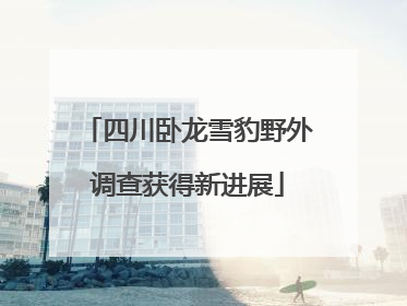 四川卧龙雪豹野外调查获得新进展