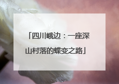 四川峨边：一座深山村落的蝶变之路