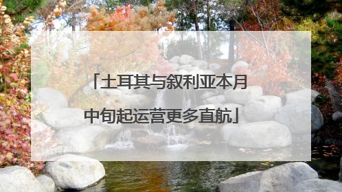 土耳其与叙利亚本月中旬起运营更多直航