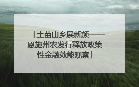 土苗山乡展新颜——恩施州农发行释放政策性金融效能观察