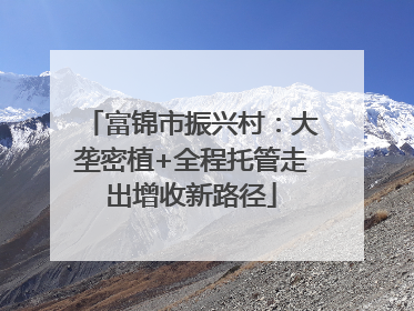 富锦市振兴村：大垄密植+全程托管走出增收新路径