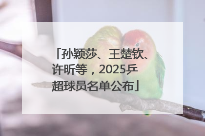 孙颖莎、王楚钦、许昕等，2025乒超球员名单公布