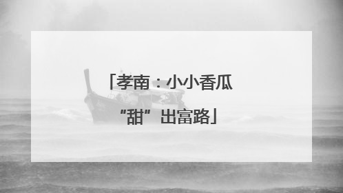 孝南：小小香瓜 “甜”出富路