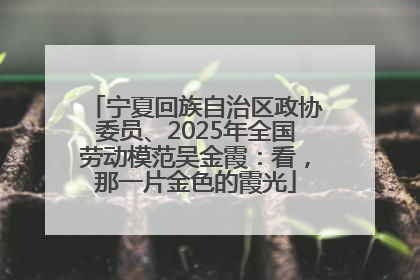 宁夏回族自治区政协委员、2025年全国劳动模范吴金霞：看，那一片金色的霞光