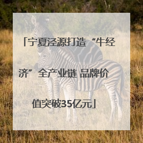 宁夏泾源打造“牛经济”全产业链 品牌价值突破35亿元