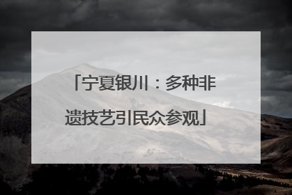 宁夏银川：多种非遗技艺引民众参观