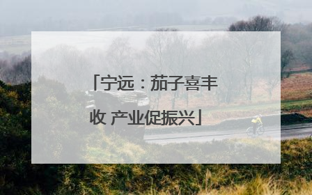 宁远：茄子喜丰收 产业促振兴