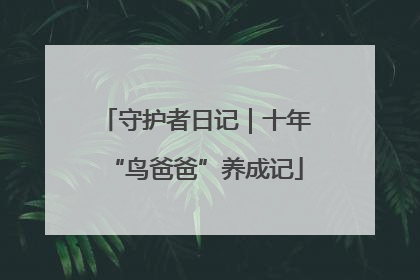 守护者日记｜十年“鸟爸爸”养成记